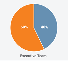 DiversityChartExecutive_America-01_1.png DiversityChartExecutive_America-01_1.png