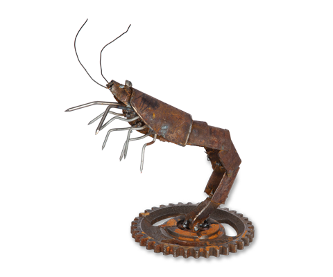 Shrimp