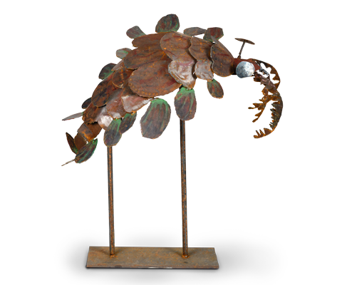 Anomalocaris